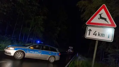 Wildunfall führt zu Ermittlungen: Gaterslebener Fahrer ohne Führerschein erwischt