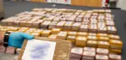 1,6 Tonnen Kokain in Bananen-Container entdeckt: Hamburger Hafen im Fokus der Drogenfahnder