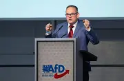 AfD-Landeschef Reichardt prophezeit Regierungswechsel in Sachsen-Anhalt