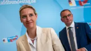 AfD plant geheimes Regierungsprojekt 'Alternatives Deutschland' mit milliardenschweren Vorhaben