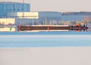 Bergung des Buckelwals vor Poel: Helfer nehmen Arbeit wieder auf