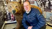 Bernburgs berühmter Bär Lazi kehrt nach 15 Jahren aus dem Winterschlaf ins Museum zurück
