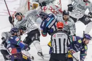 DEL-Halbfinale: Eisbären Berlin vor großer Herausforderung gegen souveräne Kölner Haie