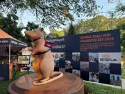 Denkmal für Minenheld Ratte Magawa: Eine Weltpremiere in Kambodscha