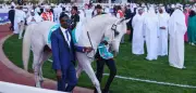 Dubai World Cup: Luxusrennen trotz Kriegsgeschehen im Iran