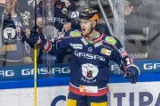Eisbären Berlin stehen vor DEL-Finaleinzug nach klarem 5:2-Heimsieg gegen Köln