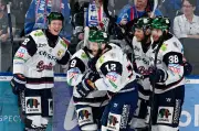 Eisbären Berlin: Zwölfter Meistertitel zum Greifen nah
