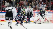 Eishockey-Halbfinale: Eisbären-Trainer Aubin mit Luxusproblem im Torhüter-Duell