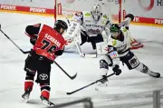 Eishockey-Playoffs: Eisbären verlieren Krimi in Köln - Serie steht 2:2