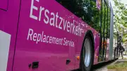 Ersatzbus bei Lüblow gegen Baum gefahren: Fahrer flüchtet