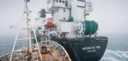 Eskalation in der Antarktis: Tierschützer rammen norwegisches Krillfangschiff
