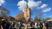 Frühlingsmarkt auf Burg Klempenow startet nach Ostern mit Saatgutbörse