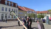 Frischer Maibaum per Kran gehoben und liebevoll geschmückt