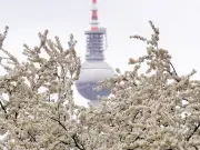 Frostige Nächte und Wechselwetter: April startet unbeständig in Berlin und Brandenburg