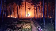 Großbrand bei Dessau-Roßlau: Wald und Holzpolter in Flammen - Feuerwehr im stundenlangen Einsatz
