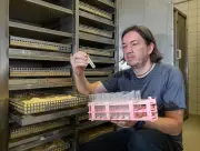 In Eberswalde züchten Forscher Hausböcke und Termiten für Holzschutztests