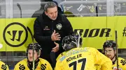 Krefeld Pinguine vor historischem DEL-Rückkehr: Traditionsklub steht vor Wiederaufstieg