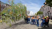 Maibaumfest in Ueckermünde: Frühling feiern auf dem Marktplatz