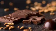Münchner Start-up revolutioniert Schokolade: Kakao durch Sonnenblumenkerne ersetzt