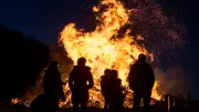 Osterfeuer als Todesfalle: So schützen Sie Igel und andere Wildtiere vor den Flammen