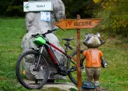 Radsaison im Erzgebirge: Brückenfest eröffnet neue Bike-Routen