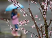 Regnerische Osterfeiertage in Sachsen: Bis zu 20 Grad am Sonntag, aber Schauer stören