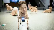 Roboter-Hunde in Berlin: Musk, Bezos und Picasso als Kunstmaschinen