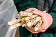 Spargel-Tipps: Vom Schälen bis zum Grillen - So gelingt das Königsgemüse perfekt