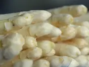 Spargel zu Ostern rar: Kälte verzögert Ernte in Mecklenburg-Vorpommern