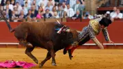 Stierkampf-Drama in Sevilla: Matador Morante de la Puebla schwer verletzt