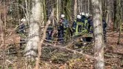 Tragödie beim Ostereier-Suchen: Drei Tote nach Baumsturz – Staatsanwaltschaft ermittelt