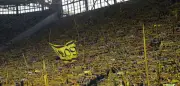 Trauriger Vorfall im Signal Iduna Park: BVB-Fan nach Kollaps auf Südtribüne verstorben