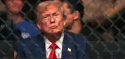 Trump plant martialisches UFC-Event zum 80. Geburtstag vor dem Weißen Haus