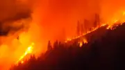 Verheerender Waldbrand in Österreich: Flammen breiten sich über die Alpen aus