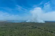 Waldbrand in Gohrischheide: Hitze entzündete Altmunition - Ermittlungen abgeschlossen