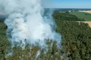 Waldbrandgefahr in Brandenburg erreicht neue Höchstwerte: Vier Landkreise auf Stufe 4