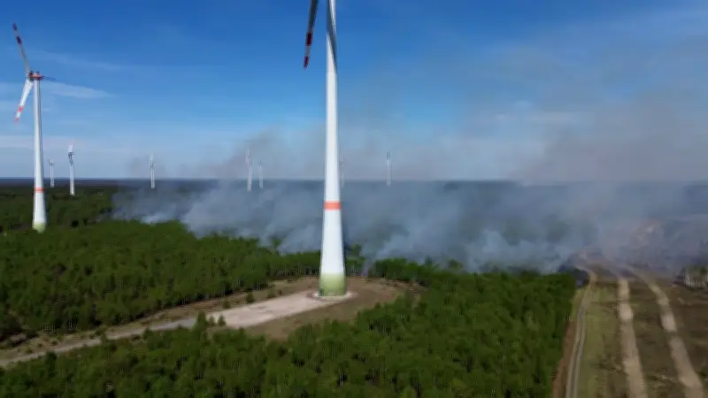 Brandenburg: Stiftung hofft auf Regen gegen Waldbrand bei Jüterbog
