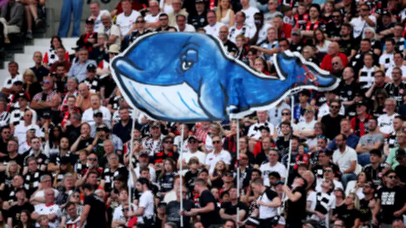 Buckelwal Timmy sorgt für Aufsehen bei Bundesliga-Spiel