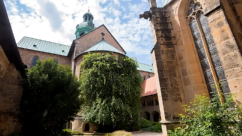 Der tausendjährige Rosenstock von Hildesheim: Ein Symbol der Hoffnung