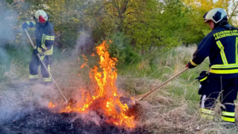 Feuerwehr Aschersleben: Drei Flächenbrände an Froser Straße