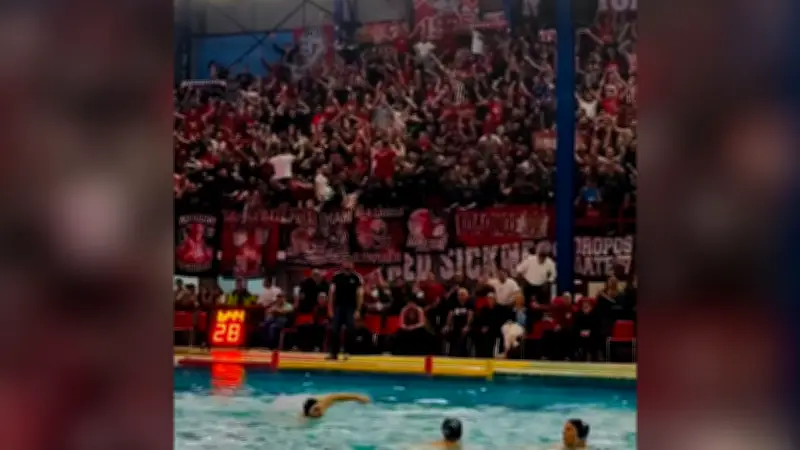 Fußball-Fans wechseln ins Wasser: Stimmung beim Wasserball