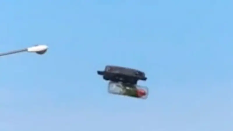 Gelähmter Papagei fliegt mit Drohne auf den Philippinen