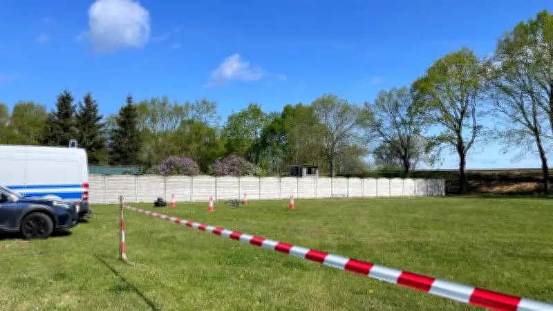 Goldspürhunde durchkämmen Grundstück in Plate: Suche nach Manching-Schatz