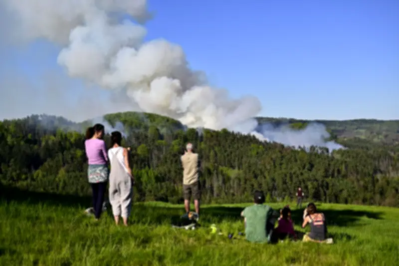 Großbrand im Nationalpark Böhmische Schweiz: 500 Einsatzkräfte im Kampf gegen die Flammen
