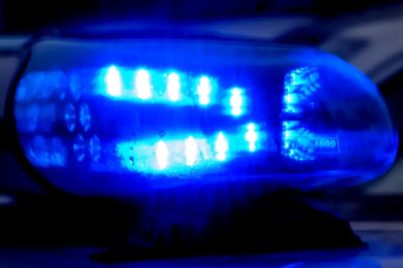 Hundesuche endet tragisch: Frau durch Selbstschussanlage schwer verletzt