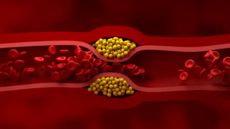 Jenaer Studie: Neuer Cholesterin-Tiefstwert schützt Ihr Herz besser