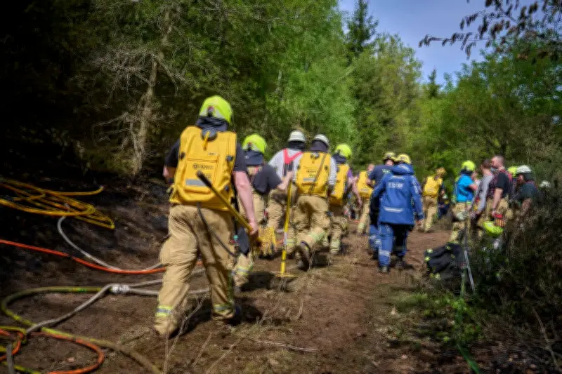 Mehrere Waldbrände fordern Einsatzkräfte in Deutschland und Niederlanden