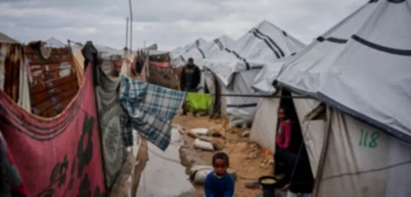 Rattenplage in Gaza: Kinder im Schlaf gebissen