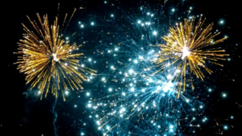 Schwerin: Kein privates Feuerwerk zum Jahreswechsel?