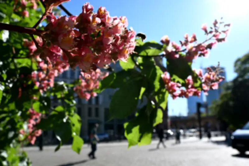Sommerwetter mit bis zu 28 Grad am langen Wochenende